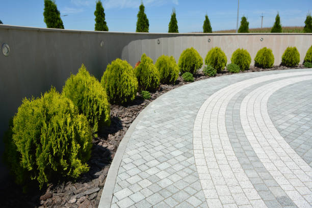 Best Professional Driveway Pavers  in Pilot Mountain, NC